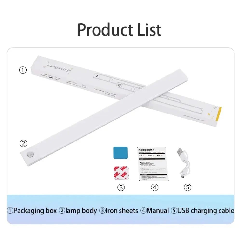 Smart Motion Sensor Light